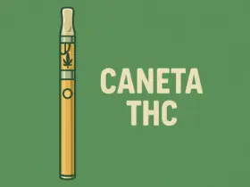 caneta de THC Como fumar na caneta de THC
